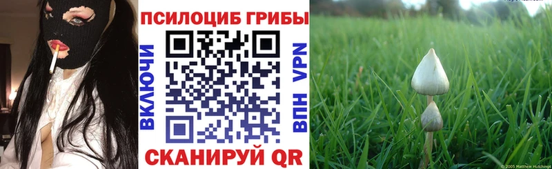 Галлюциногенные грибы прущие грибы Оренбург