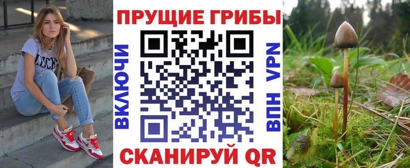 Псилоцибиновые грибы мицелий  Оренбург 
